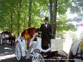 IMG_1524