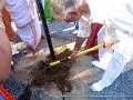 IMG_1713