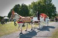 20100828_104