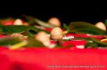 20100828_178