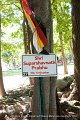 20100829_35-3